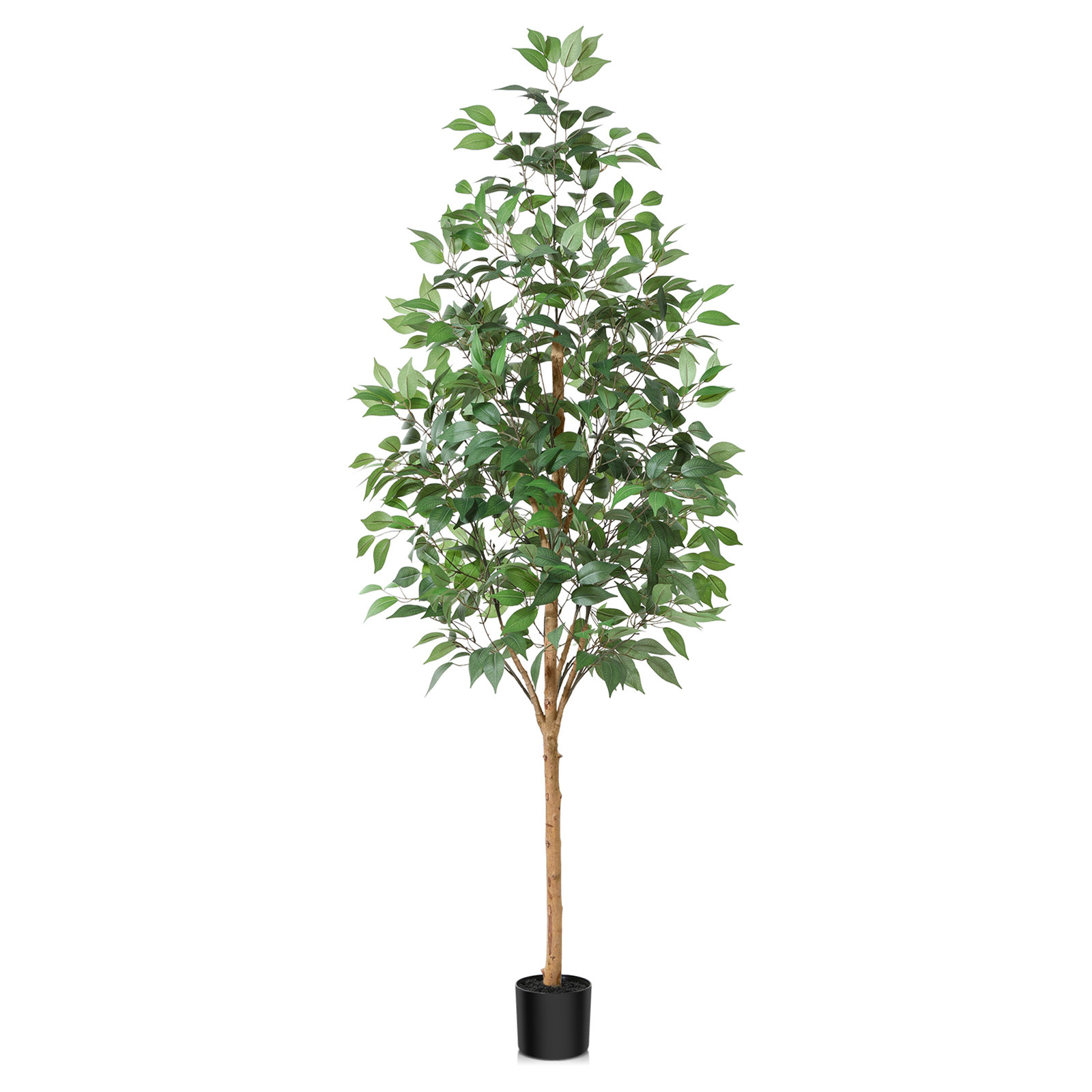Adcock Ficus Tree in Pot, 70" H x 18" W x 18" D
