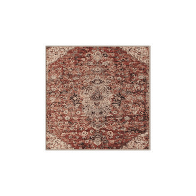 Machine Washable Brown Area Rug