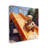 ba-972-Framed Teddy Bear on Slide by Ray Powers Single Picture Frame Print on Canvas-97199124-97199125