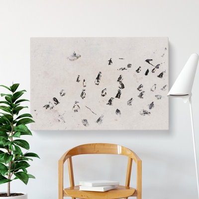 Penguin Beach - Wrapped Canvas