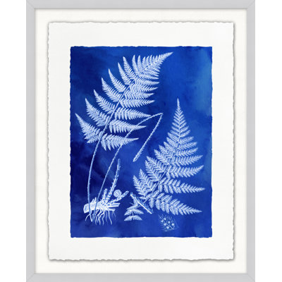 Fern Inspiration Indigo 4 par Lillian August - peinture encadrée sur papier