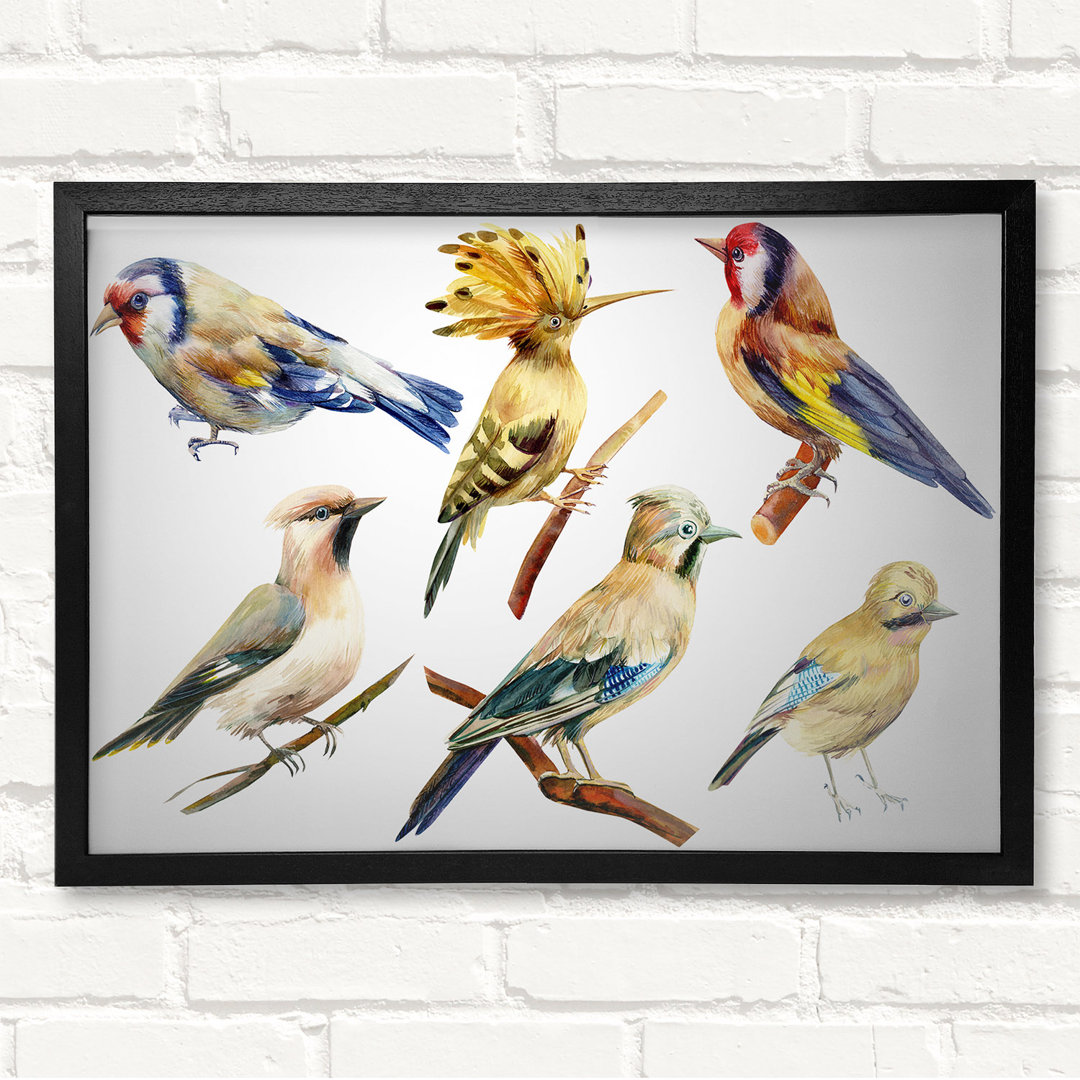 Birds Of Beauty 2 - Geschlossener Eckrahmen Kunstdrucke auf Holz