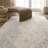 Forand Oriental Rug-1158875451