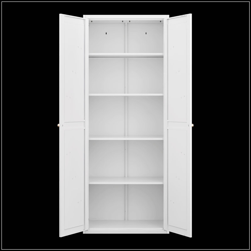 Armoire de rangement durable et réglable en métal à 2 portes avec tablettes, parfaite pour la cuisine, le salon et l'organisation de bureau