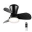 Ceiling Fan with Remote Control and LED Light-1751842831-1751418797
