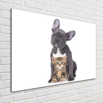 Dog And Cat - Unframed Art Prints on Glass