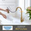 Robinet de cuisine rétractable-72602060
