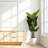 Elegant Faux Palm Trees