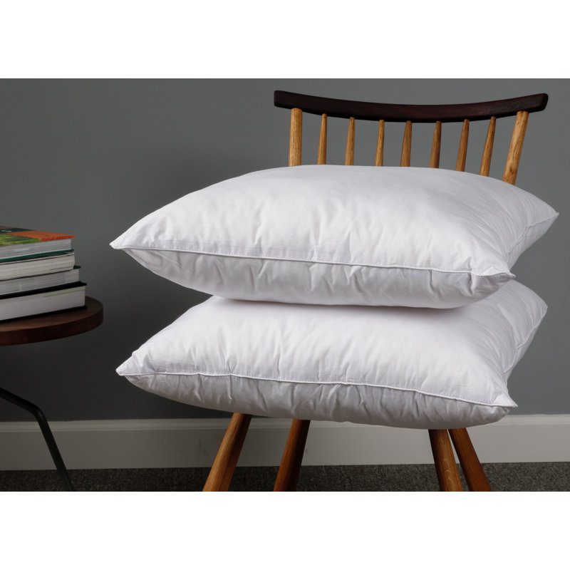 Wayfair Basics® Didomenico Euro Square Pillow Insert, 22" x 22"