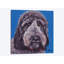 « black labradoodle on blue », impression sur toile-32500556-72120959
