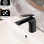 Robinet de salle de bain noir mat, robinet en laiton à poignée simple avec revêtement anticorrosion pour robinet d'évier et de lavabo, aérateur inclus, idéal