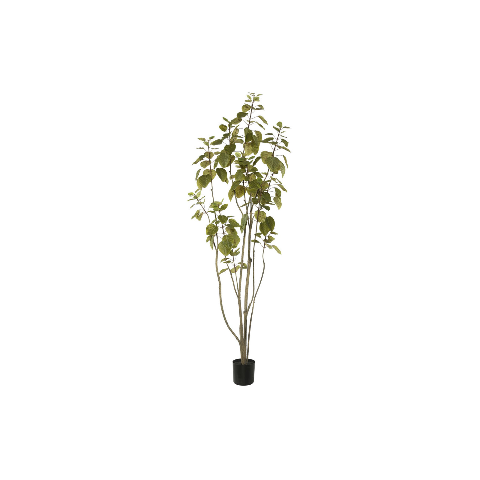 Artificial Green Potted Cotinus Coggygria Tree, 60" H x 22" W x 22" D