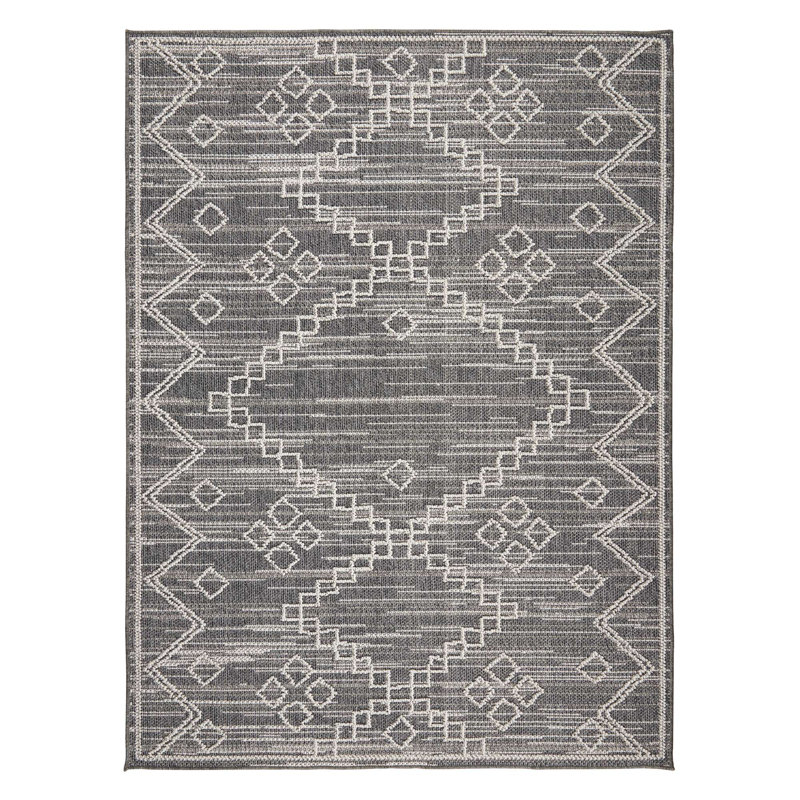 Denelle Polypropylene Indoor/Outdoor Rug, Rectangle 7'10" x 9'10"