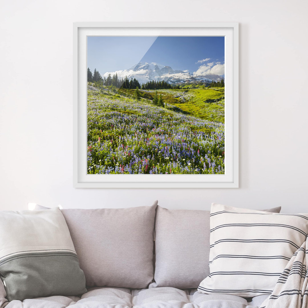 Gerahmter Fotodruck Bergwiese mit Blumen vor dem Mt. Rainier