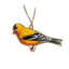 Ensemble de 6 ornements d'oiseaux colorés assortis