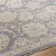 Finnlagh Oriental Indoor Rug