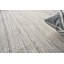 Kashmir Area Rug in Light Taupe-67462435