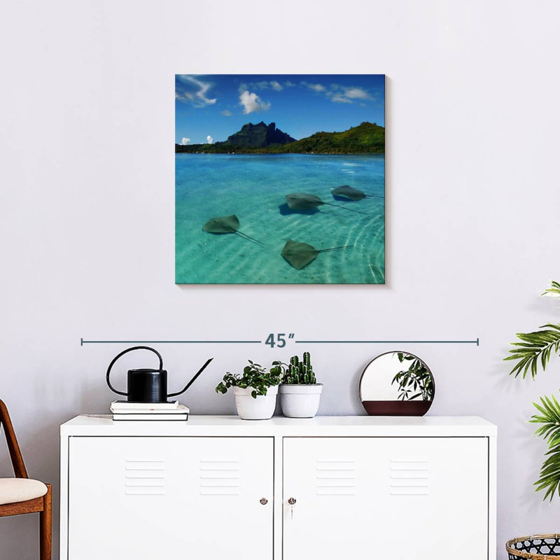 Brampt Bora Bora Stingrays, 24" H x 24" W
