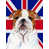 Bouledogue (brun et blanc)