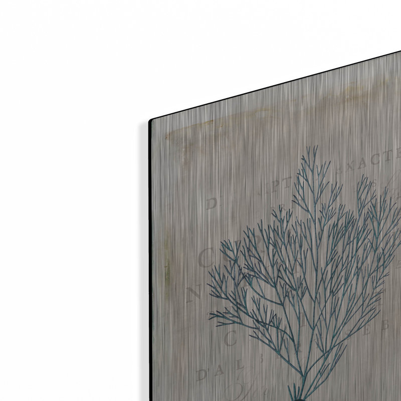 Highland Dunes «Sea Garden 2» par Katie pertiet, art mural en métal, H 16 po x l 12 po