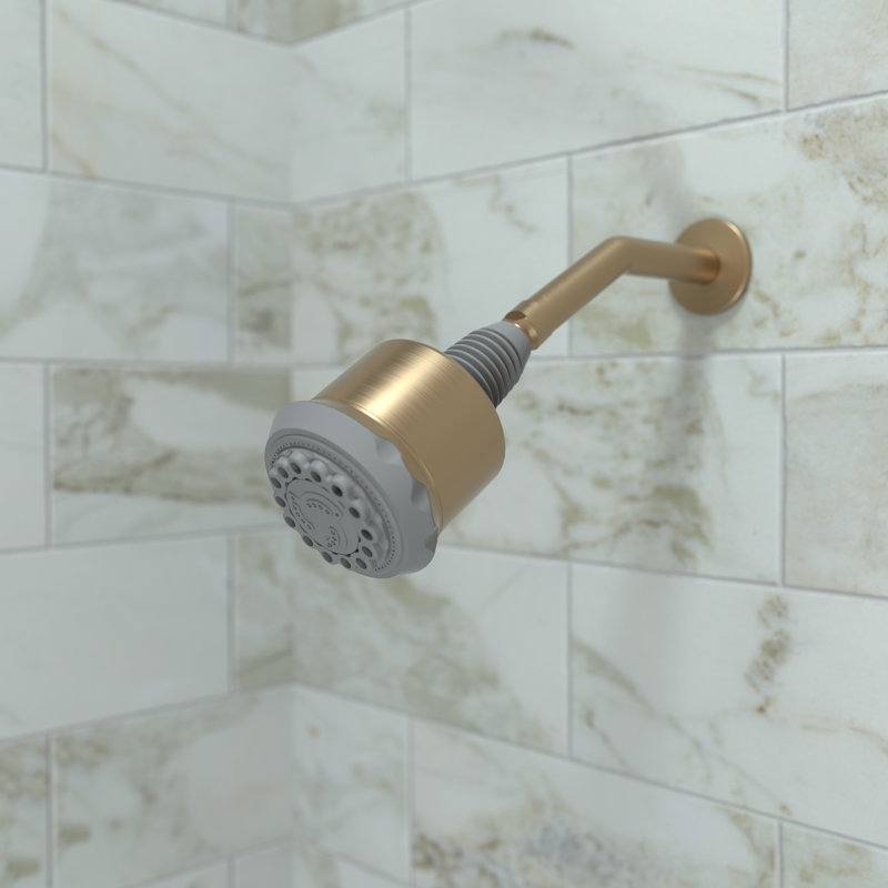 Clubmaster Multi Function Adjustable Shower Head, Brushed Bronze