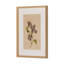 Blooms Ii Triptych By Brittney Shulz-1147893836