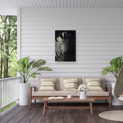 David Stribbling Zebra Fade To Black Outdoor  Canvas