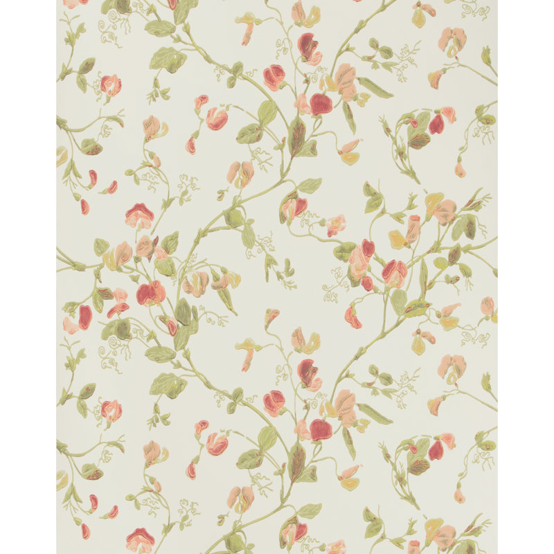 Anthology Sweet Pea Floral Wallpaper Roll, Pink