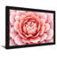 Plantes et fleurs, rose, motif floral-1475149585-1475149590-1475149594