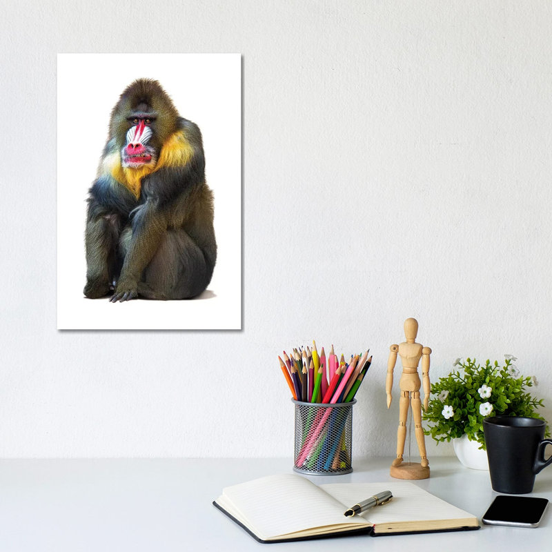 Mandrill Baboon Isolated On White by Susan Richey - Wrapped Canvas Gallery-Wrapped Canvas Giclée, 30.48cm H x 20.32cm W