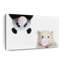 Bears Bubble Gum sur toile-963925312