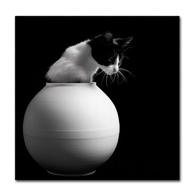 " Chanel " by Pierre Fleischmann