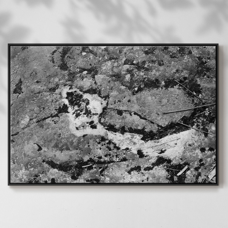 Found Textures Xiv, reproduction d'art sur toile, H 17 po x l 25 po x P 2 po, Toile avec cadre flottant noir