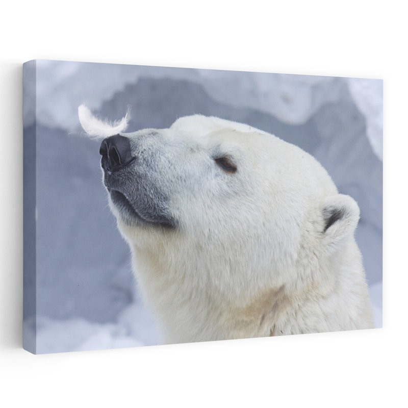 Gentle Polar Bear Feather Delicate Peaceful Serene Bear Nature Portrait Wall Art Print, 101.6cm H x 152.4cm W