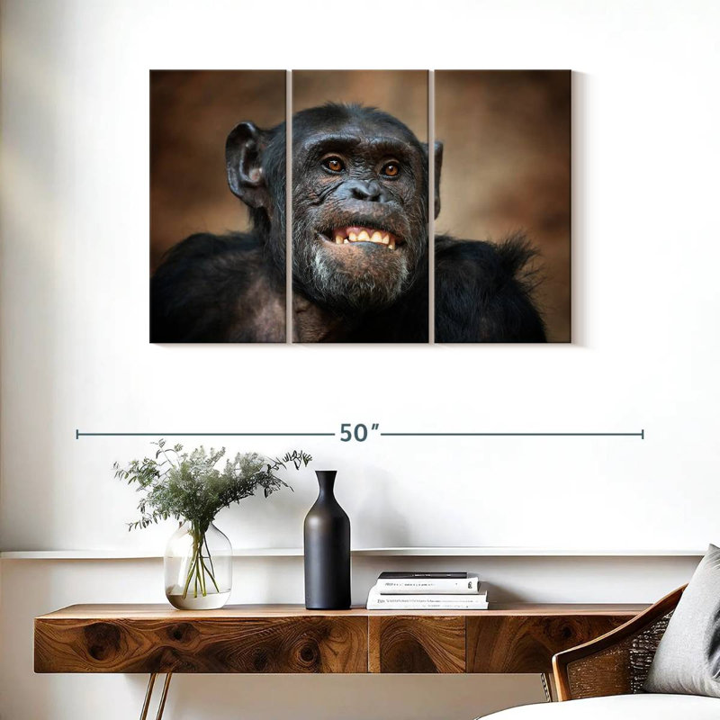 Funny Chimpanzee