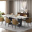 9 - Piece Dining Table Set With 63'' To 94.5'' Extendable Sintered Stone Dining Table With 8 Upholstered Fuax Leather Chairs-509246079-509246082