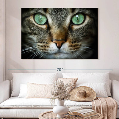 Feline Eyes