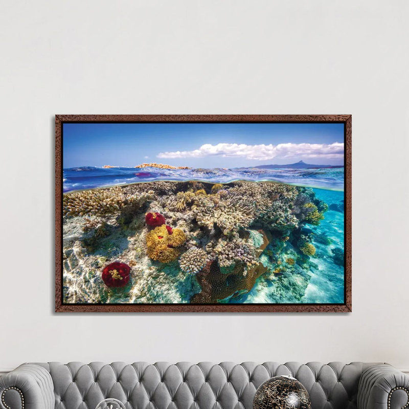 Mayotte the Reef 1 Piece Wall Art on Canvas, 101.6cm H x 152.4cm W x 3.81cm D, Classic Brown Wood Framed