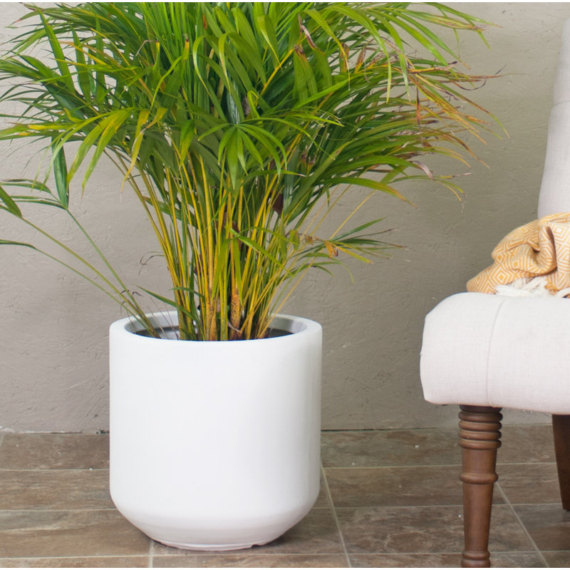 Metz Pot Planter, 13" H x 13.5" W x 13.5" D