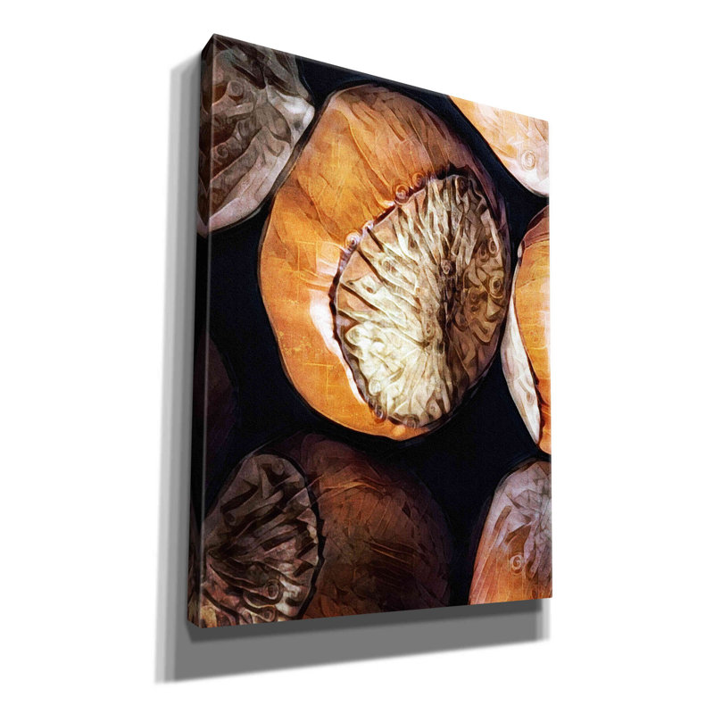 Fruit of the Hazel 3 par - Photographie sur toile tendue, H 54 po x l 40 po x P 1,5 po