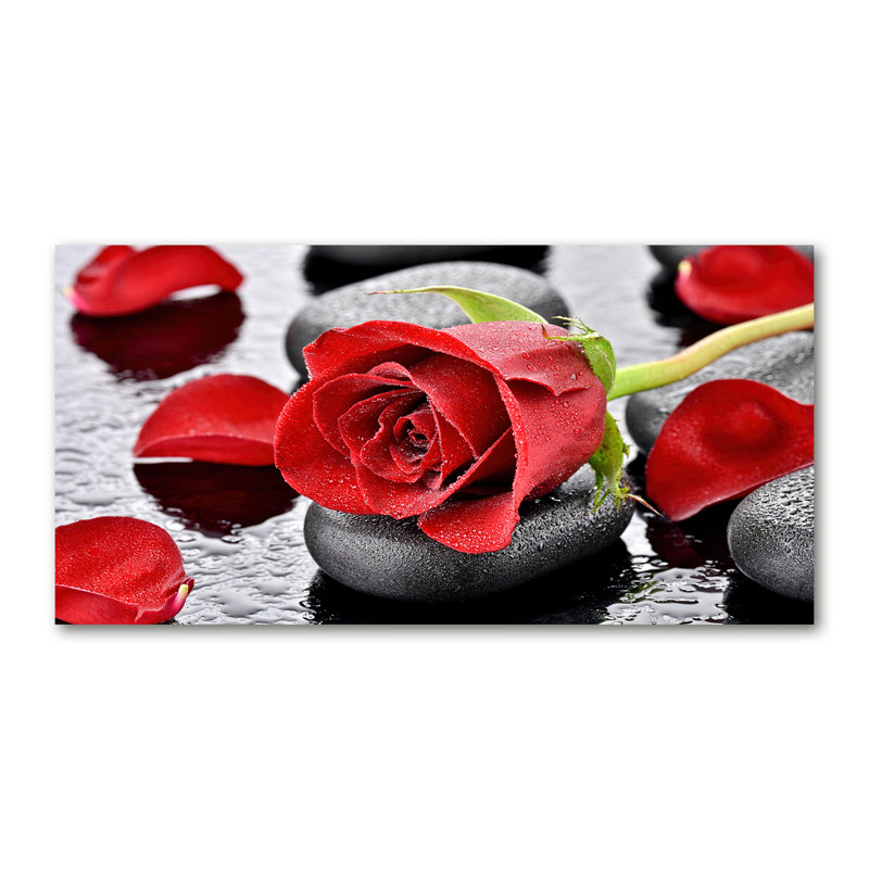 Red Rose - Wrapped Canvas Print