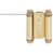 Polished Brass