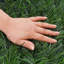 August Grove Artificial Grass Turf Rug / Roll-823177100