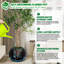 Pot Planter-292598211-292598213