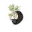 Black Free Form Sandstone Wall art