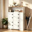 12 Pair Shoe Storage