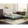 Densmore Geometric Indoor Rug