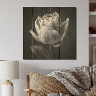 Gros plan sur une tulipe noire et blanche I - impression sans cadre sur bois