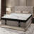 14'' Medium-Firm Hybrid Mattress With Cooling Gel Memory Foam And Individually Wrapped Pocket Coils, Pressure-Relieving Support, Bed-In-A-Box-11811671-11811666