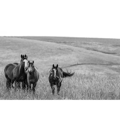 Josanne " Montana Moves " by Nathan Larson